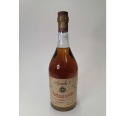 Vintage Bottle - Syenko's Aribrand 0,75 lt. - COD. 5359