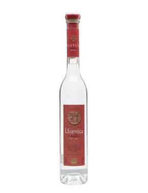 Bava - Grappa Distillato di Uva Malvasia "Uvantica" 0,50 lt.