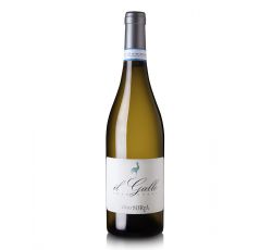 Livio Soria - Piemonte Chardonnay DOC "Il Gallo" 2022 0,75 lt.