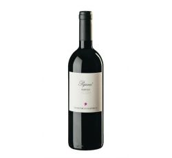 Domenico Clerico - Barolo DOCG "Pajana" 2019 0,75 lt.