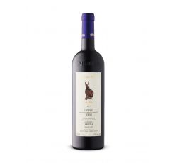 Marziano Abbona - Langhe Rosso DOC "I Due Ricu" 2021 0,75 lt.