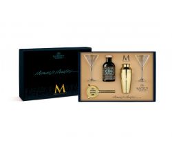 Mazzetti d'Altavilla - Kit Momento Martini Tasting Experience con Gin Black Edtion + 2 Calici Martini + Shaker + Strainer