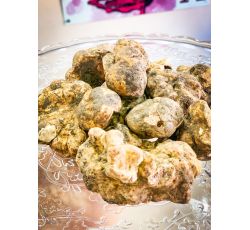 Tartufo Bianco d'Alba Fresco 60 gr Tuber Magnatum Pico PEZZATURE GRANDI