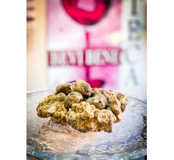 Tartufo Bianco d'Alba Fresco 500 gr Tuber Magnatum Pico PEZZATURE GRANDI